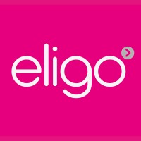 Eligo Recruitment logo - Similar company to E
