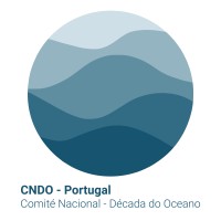 Comité Nacional para a Década do Oceano - CNDO logo - Similar company to Crzd Solutions
