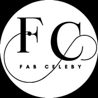 fabceleby.in logo - Similar company to Wowients