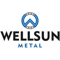 Wellsun Metal logo - Similar company to Shenzhen Wellsun Technology Co., Ltd.