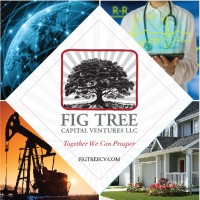 FIG Tree Capital Ventures, LLC logo - Similar company to Figtreeventures