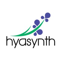 Hyasynth Bio logo - Similar company to Ozeki Inc.