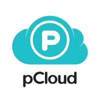 pCloud AG logo - Similar company to Filemail
