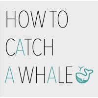 How To Catch A Whale