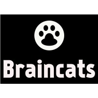 Braincats Consulting logo - Similar company to Health Lean Analytics