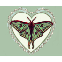 Lacrimoth