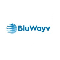 BluWayv logo - Similar company to Smart Pay
