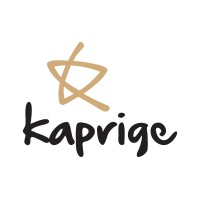 Kaprige Formaturas LTDA. logo - Similar company to Directnet Provedor De Internet
