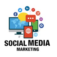 Palak Social Media Marketing Services logo - Similar company to Social Smoothie