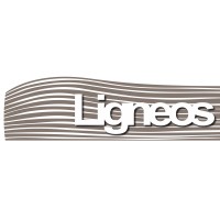 Ligneos Srl logo - Similar company to Mango Lamtech Srl