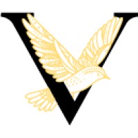 Vliegende Start Online