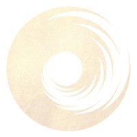 Zenyo Management logo - Similar company to Accelerant Consulting
