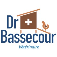 Dr Bassecour logo - Similar company to Kara Lab