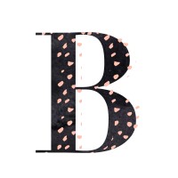 Brush That Off, LLC. logo - Similar company to Cleo+Coco