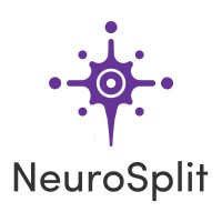 NeuroSplit logo - Similar company to Aristotes