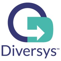 Diversys Software, Inc. logo - Similar company to Tsaro