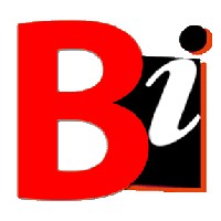 Burhani Infosys Ltd logo - Similar company to Mindzkonnected - Transforming Tomorrow With Ai