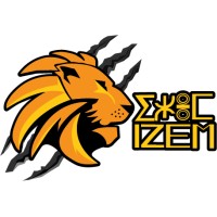 IZEM SARL logo - Similar company to Ma Box Algérie