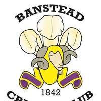 Banstead Cricket Club logo - Similar company to Really Local Group