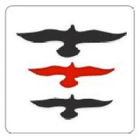 BizExcel.net logo - Similar company to Ask Multi Solutions