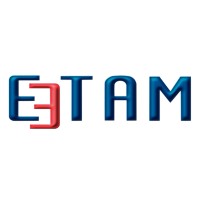 E3TAM Industrial AI Solutions logo - Similar company to Edit Elektronik