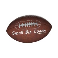 Small Biz Coach logo - Similar company to New Paradigm Digital