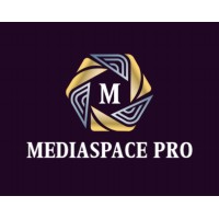 MediaSpace Pro logo - Similar company to Mediaspace