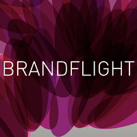 Brandflight logo - Similar company to Savaara