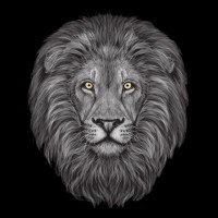 Gold Lion Technologies logo - Similar company to Tone Software