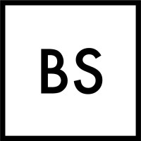 Beyond Strategies GmbH logo - Similar company to Cordian Gmbh