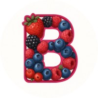 Berrily logo - Similar company to Vidmaze