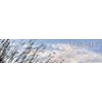 Bluestem Financial Management