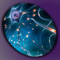 Microvitum logo - Similar company to Help-U