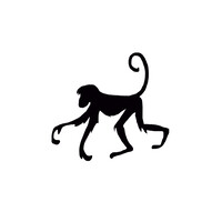 maimono logo - Similar company to Coachseeds