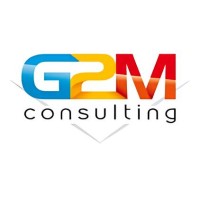 G2M Consulting logo - Similar company to Miscoch It