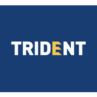 Trident Gold Corp. logo - Similar company to Trident Resources Corp. (Tsx-V: Rock)