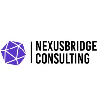 NexusBridge Consulting logo - Similar company to Proceipt