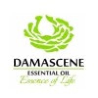 Damascene Processing logo - Similar company to Hǎolife 好命: Holistic Wellness Solutions For Office