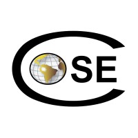 COSE & Asociados logo - Similar company to Global Support