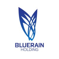 Bluerain Holding logo - Similar company to Dataga International