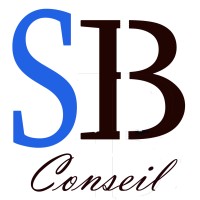 S BRUNET CONSULTING logo - Similar company to Sude Communication