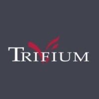 Trifium Management & Consult BV logo - Similar company to Trifium Insurance