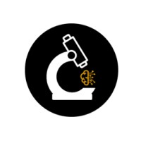 Microfy Systems logo - Similar company to Vzolutions