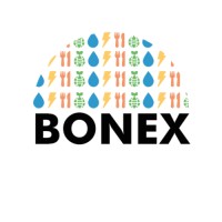 BONEX logo - Similar company to Water2Return