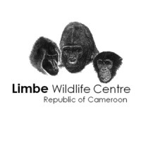 Pandrillus Cameroon - Limbe Wildlife Centre logo - Similar company to Loop Abroad