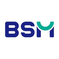Besmile logo - Similar company to Insto Llc