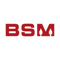 Bhagwan Saw Mill logo - Similar company to Fortune Lumber Sarl