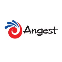 ANGEST Inc. logo - Similar company to Combined Technologies, Inc.