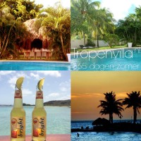Tropenvilla Curaçao logo - Similar company to Restaurant And Bar
