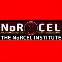 NoRCEL Global logo - Similar company to Multidisplay Digital Signage